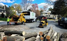 Seasonal Cleanup (Spring/Fall) in Lake Lorraine, FL