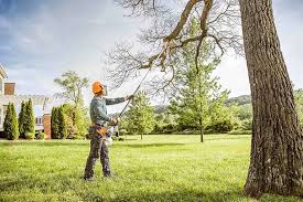 Best Landscape Design and Installation  in Lake Lorraine, FL